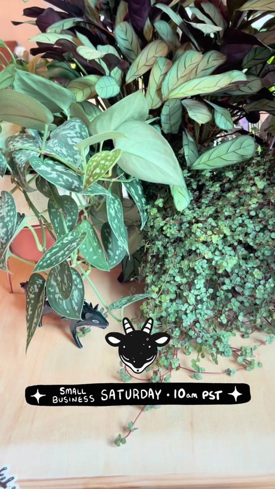 Post 4 by Faunwood on TikTok (video)