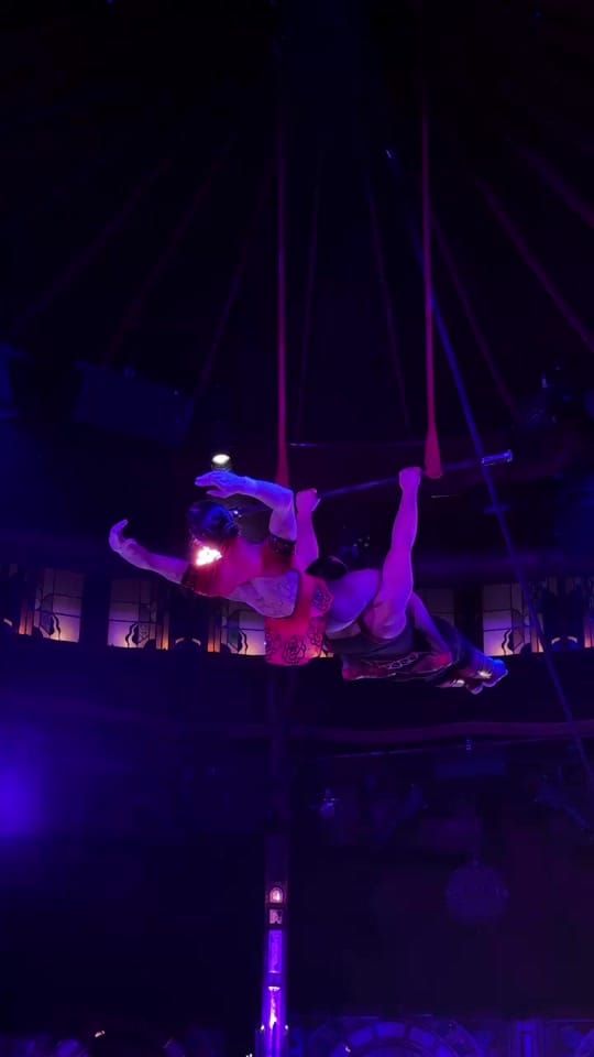 Post 2 by DuoRoseTrapeze on TikTok (video)