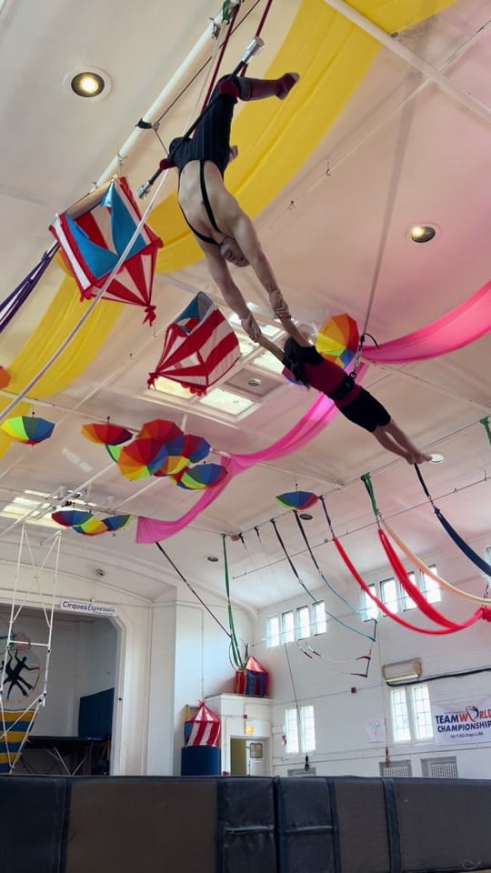 Post 3 by DuoRoseTrapeze on TikTok (video)