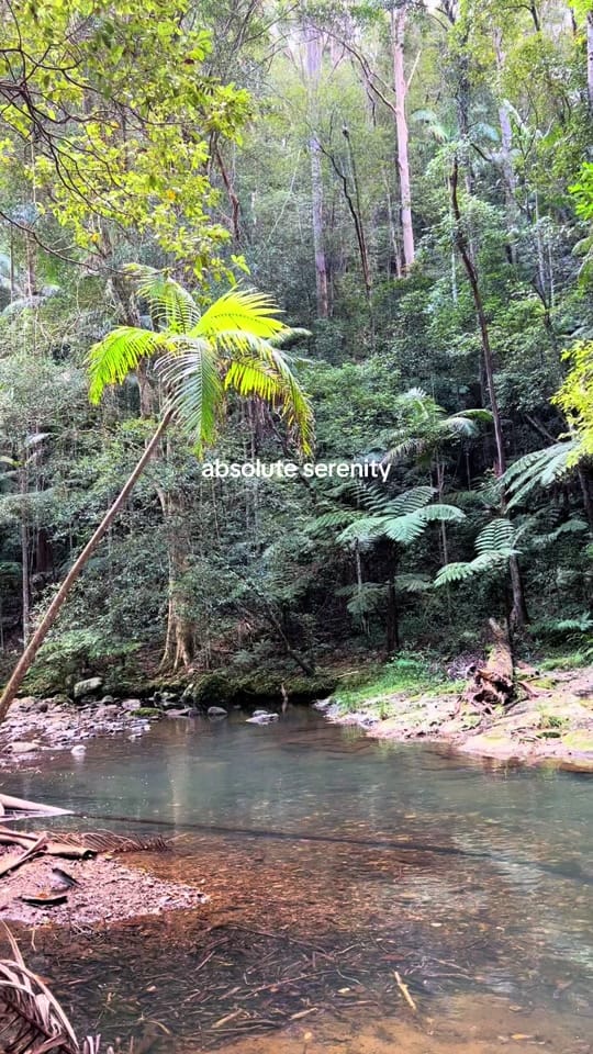 Post 1 by thesproutcollection on TikTok (video)