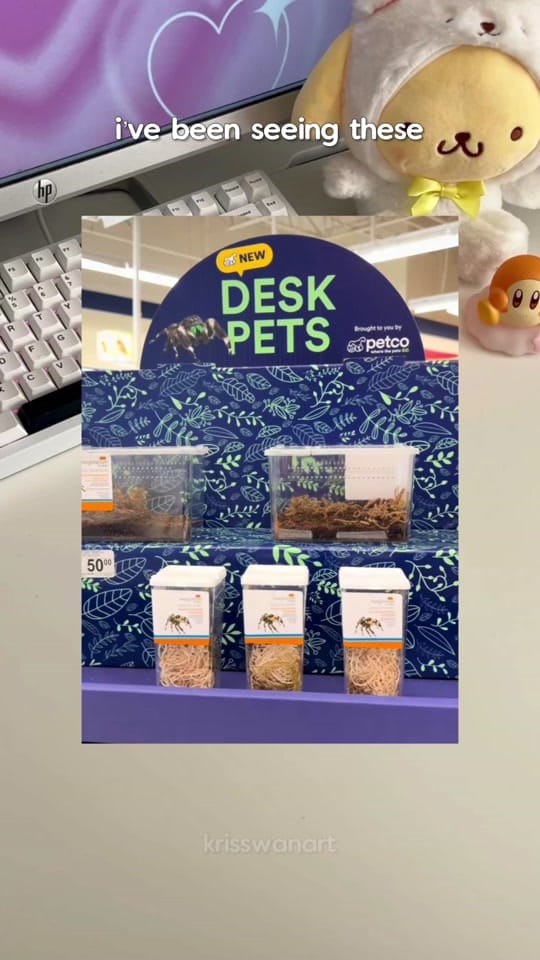 Post 6 by kris swan on TikTok (video)