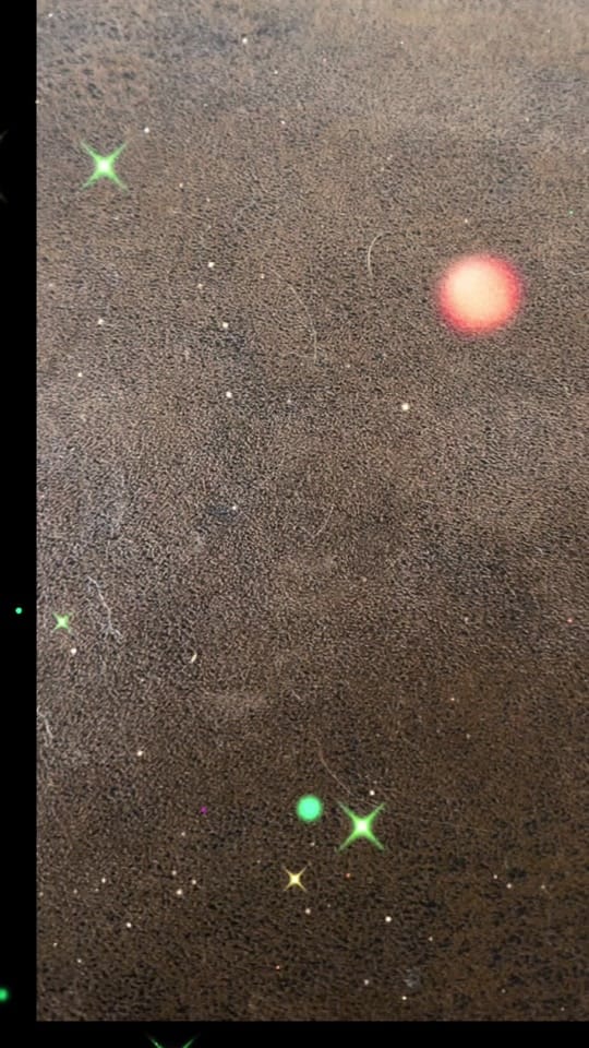 Post 1 by Diane Alber on TikTok (video)