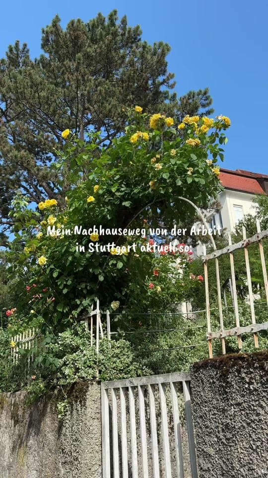 Post 5 by Manuel.s.life in Stuttgart 🌈 on TikTok (video)