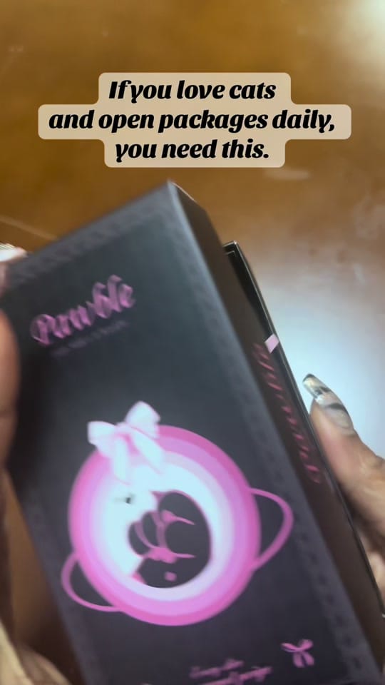 Post 4 by 𝐑𝖾𝗀αᥣ  𝐀𝗌𝖼𝖾𐓣ᑯα𐓣𝗍 on TikTok (video)