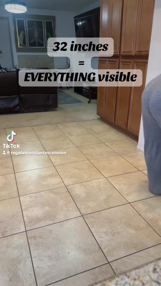 Post 8 by 𝐑𝖾𝗀αᥣ  𝐀𝗌𝖼𝖾𐓣ᑯα𐓣𝗍 on TikTok (video)