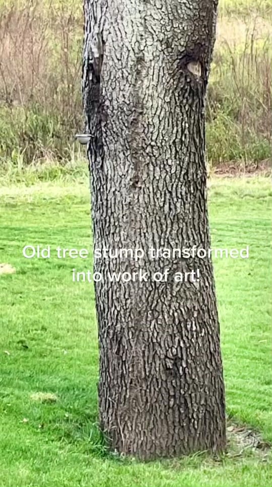 Post 5 by Drenth Design on TikTok (video)