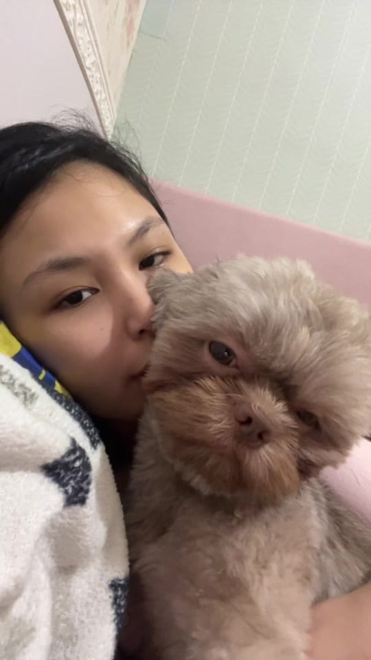 Post 1 by Kopi & Zeno🐾 on TikTok (video)