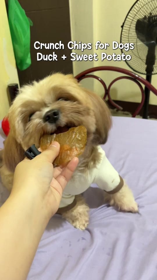 Post 9 by Kopi & Zeno🐾 on TikTok (video)