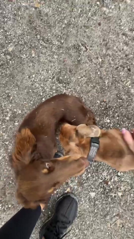 Post 1 by tkeqtheshop on TikTok (video)