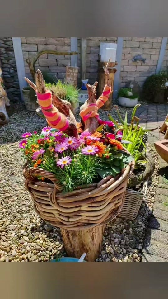 Post 6 by Andrea Hasebrink on TikTok (video)
