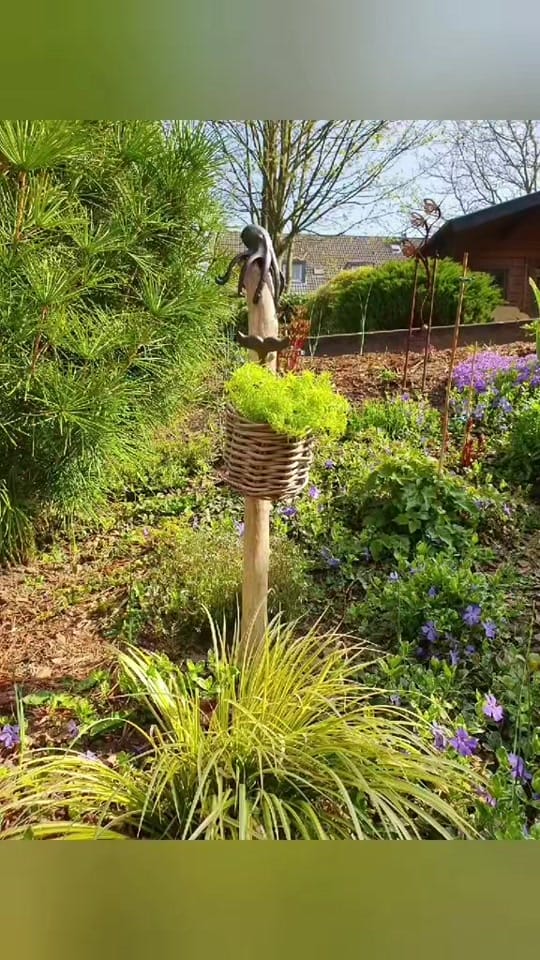 Post 5 by Andrea Hasebrink on TikTok (video)