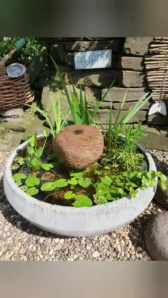 Post 7 by Andrea Hasebrink on TikTok (video)