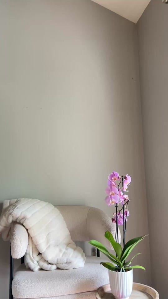 Post 3 by theessenceofjojo on TikTok (video)