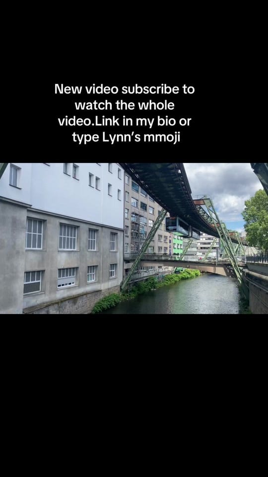 Post 5 by Lynn’s on TikTok (video)