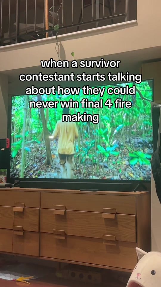 Post 4 by Claire Rehfuss on TikTok (video)