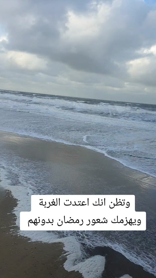 Post 5 by Raeed Alahmad on TikTok (video)