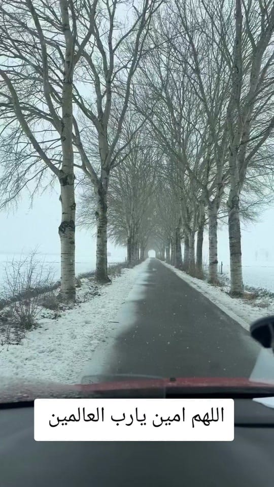 Post 1 by Raeed Alahmad on TikTok (video)