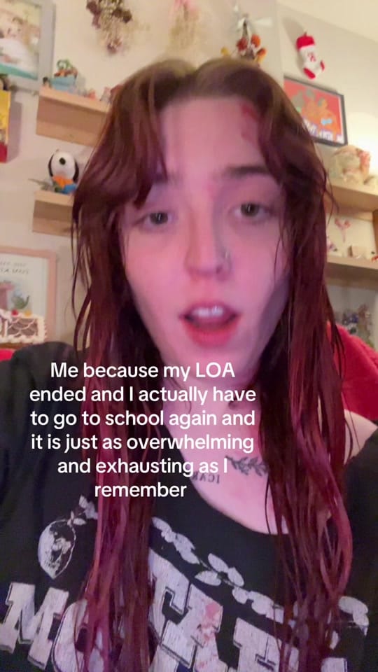 Post 2 by ♟️🌜･ﾟ✧ fía ✧･ﾟ🪆🐞 on TikTok (video)