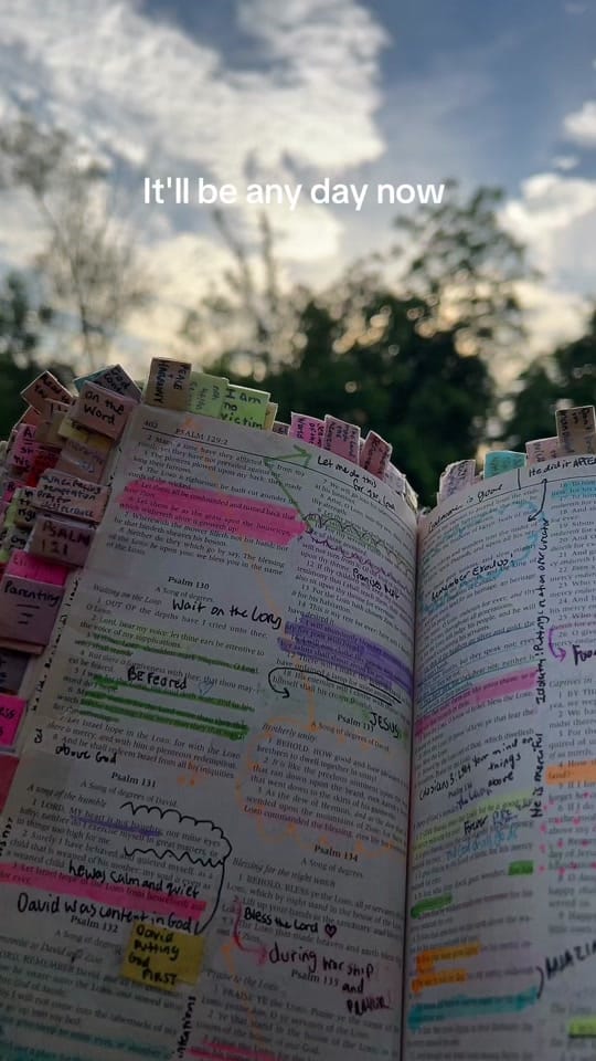 Post 1 by Most High Dwelling † ♡ on TikTok (video)