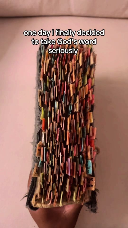 Post 8 by Most High Dwelling † ♡ on TikTok (video)