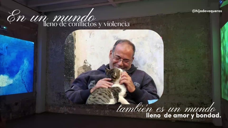 Post 9 by Meridiana🌟 on TikTok (video)