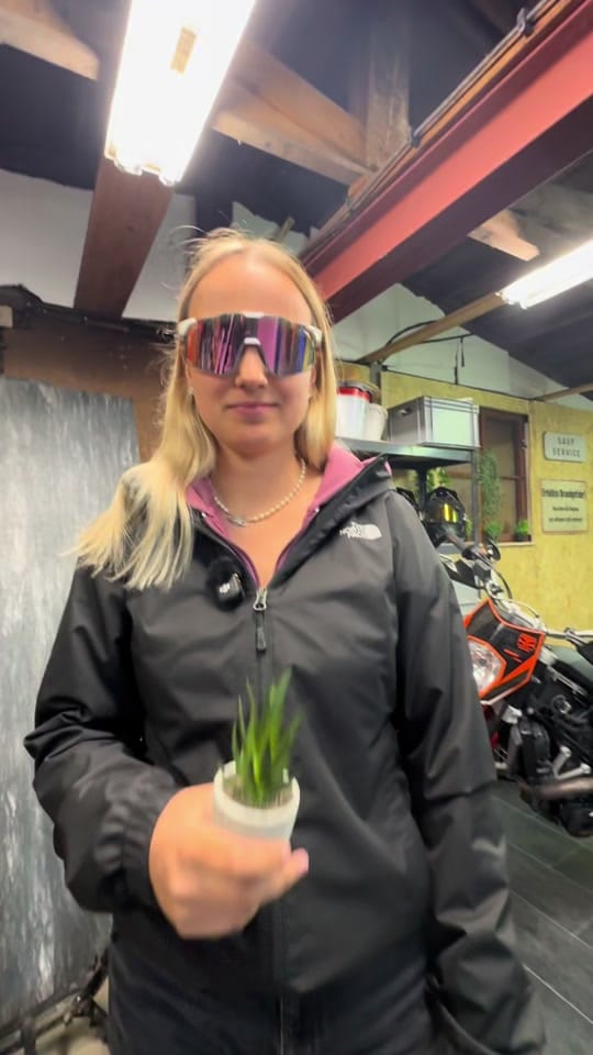 Post 1 by quietschiie on TikTok (video)