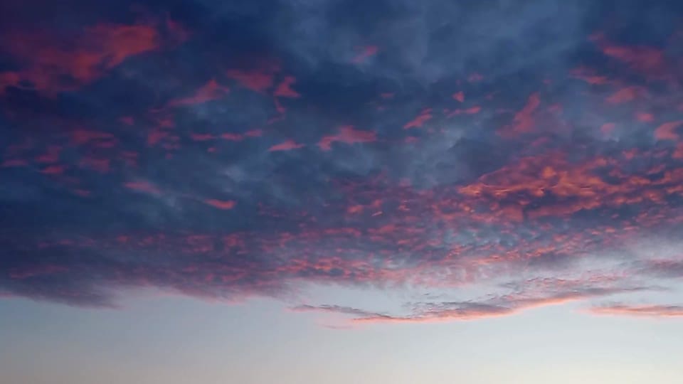 Post 5 by Greg on TikTok (video)
