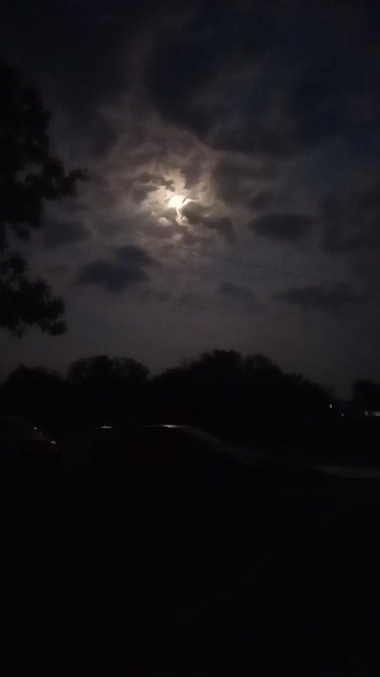 Post 6 by Greg on TikTok (video)