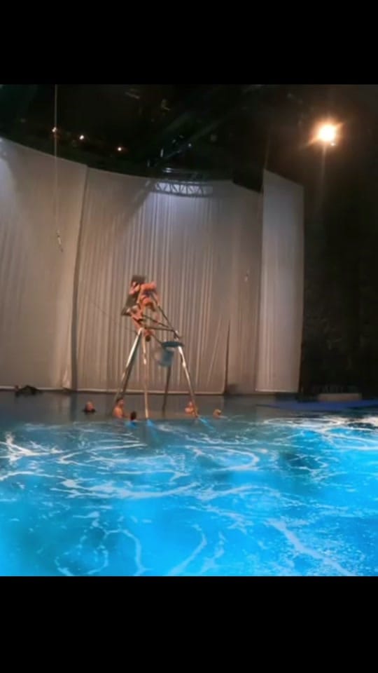 Post 5 by Impeccable on TikTok (video)