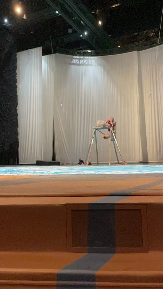 Post 4 by Impeccable on TikTok (video)