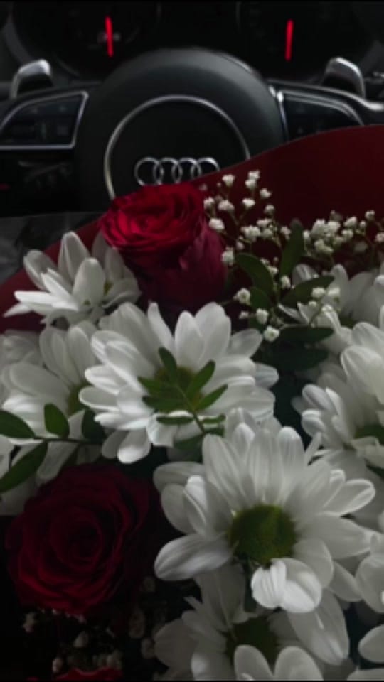 Post 3 by Kira on TikTok (video)