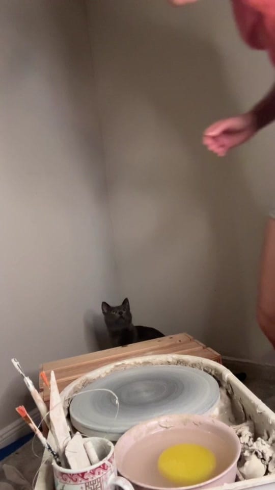 Post 6 by mayaspottery on TikTok (video)