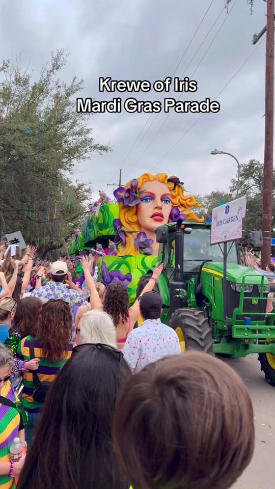 Post 4 by Cute Cactus on TikTok (video)