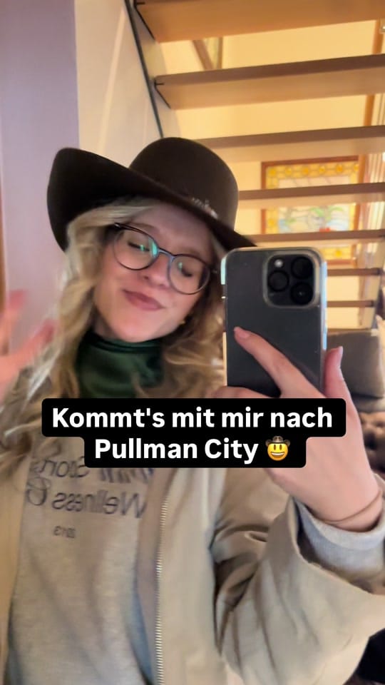 Post 4 by 𝒱𝒶𝓃𝑒𝓈𝓈𝒶 || aus Bayern on TikTok (video)