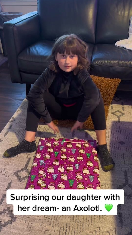 Post 8 by Mandy Fox 🦊 on TikTok (video)