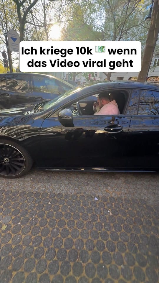 Post 4 by Pudelkopf on TikTok (video)