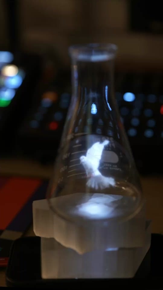 Post 7 by Joshua Ellingson on TikTok (video)