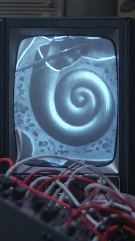 Post 5 by Joshua Ellingson on TikTok (video)