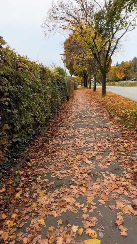 Post 10 by babiidoliveira on TikTok (video)