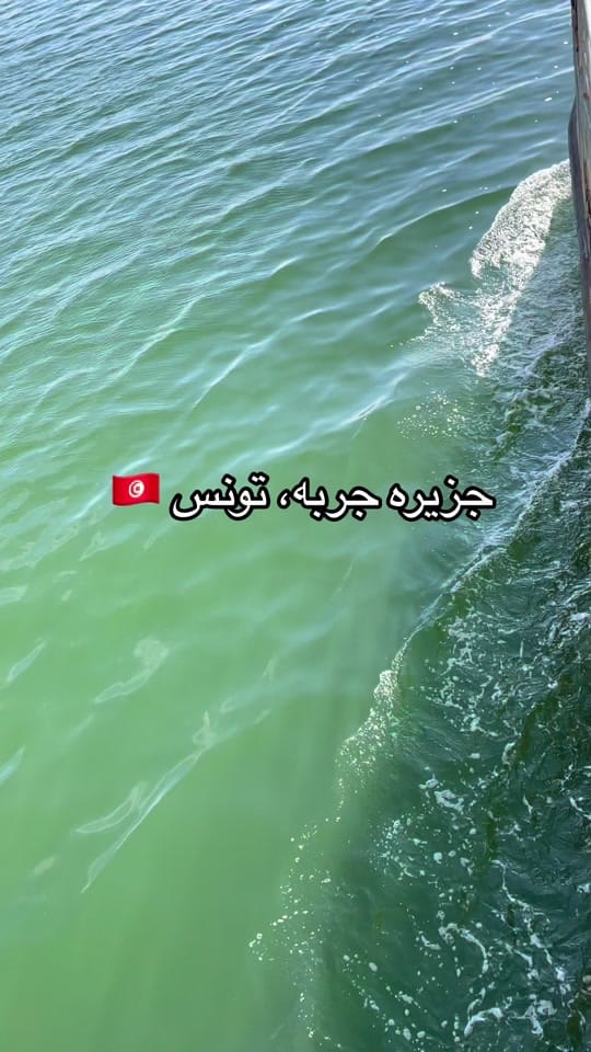 Post 4 by Gamalitoo on TikTok (video)