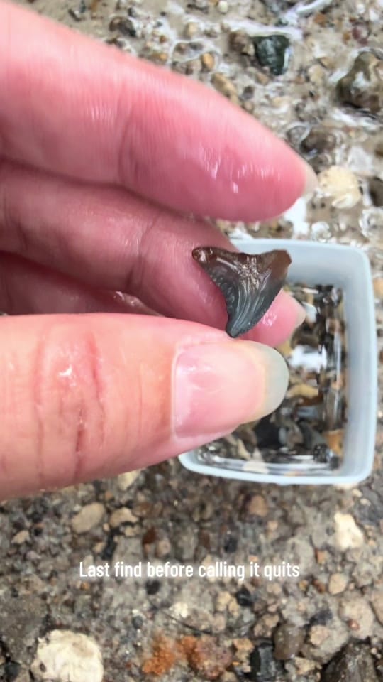 Post 1 by TheFloridaWaterGirl on TikTok (video)