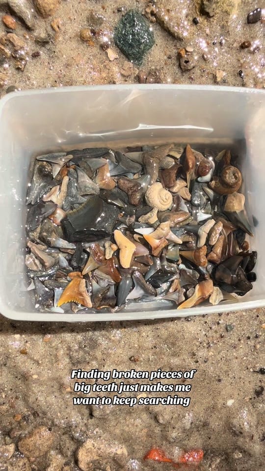 Post 2 by TheFloridaWaterGirl on TikTok (video)