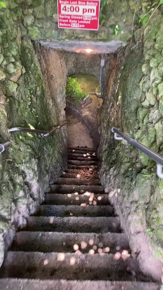 Post 8 by TheFloridaWaterGirl on TikTok (video)
