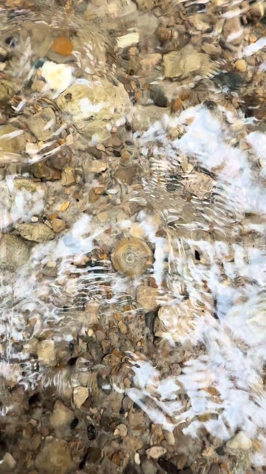 Post 4 by TheFloridaWaterGirl on TikTok (video)