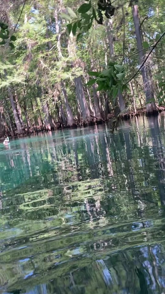 Post 9 by TheFloridaWaterGirl on TikTok (video)