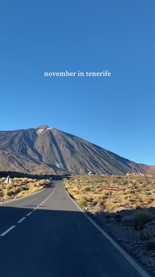 Post 4 by hausofamore on TikTok (video)