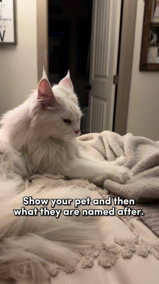 Post 7 by Stacy Cude on TikTok (video)