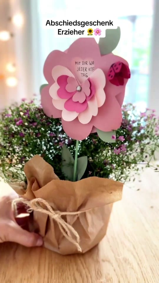 Post 5 by Sammy on TikTok (video)