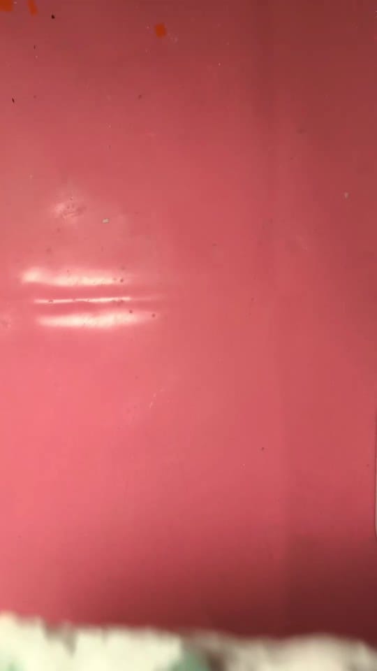 Post 4 by DanaLynnHarper on TikTok (video)