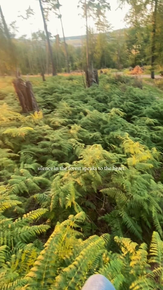 Post 9 by Moritz ☀️ on TikTok (video)